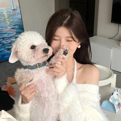 缔创学校海报